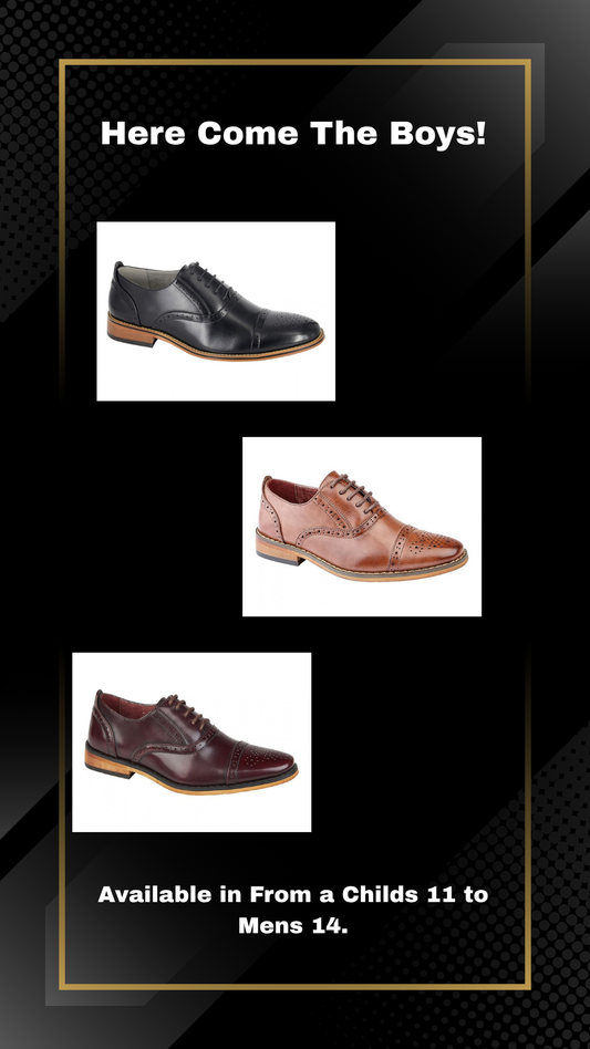 2. Goor Tan Brogue Lace Up (M516B)